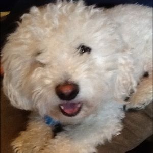 Meet your Posher, Katherine